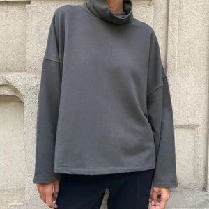 Aritzia Turtleneck